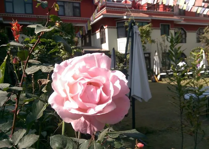 Rokpa 3* Kathmandu